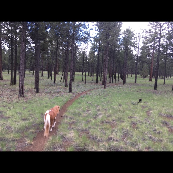 Meet your Posher, Sherrie - Picture 1 of 1